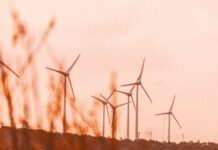 Guida completa alle opportunità di investimento nel settore delle energie rinnovabili