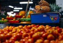 Scopri le opportunità di investire nel settore food: guida all’agroalimentare