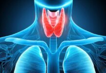 Tiroide, da Napoli l’allarme degli esperti ne soffre il 10 per cento degli italiani: “Approccio multidisciplinare vero gold standard”