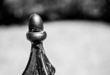 I segreti del successo imprenditoriale: scopri le chiavi per raggiungere i tuoi obiettivi