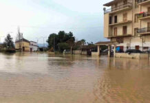 Il Crati travolge lo stabilimento De Bartolo: danni ingenti a Cosenza, ma l’azienda rilancia nel segno della resilienza e conferma la presenza a Progetto Fuoco 2026