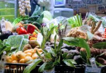 Guida all’investimento nel settore Food: come aprire un ristorante di successo