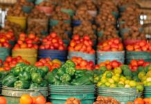 Opportunità di investimento nel settore alimentare post-pandemia: scopri come investire nel food business