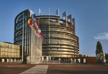 L’associazione “La Fenice” di Palma Campania porta la mostra “Donne e Disabilità” alla sede del Parlamento europeo di Strasburgo L’associazione “La Fenice” di Palma Campania porta la mostra “Donne e Disabilità” alla sede del Parlamento europeo di Strasburgo